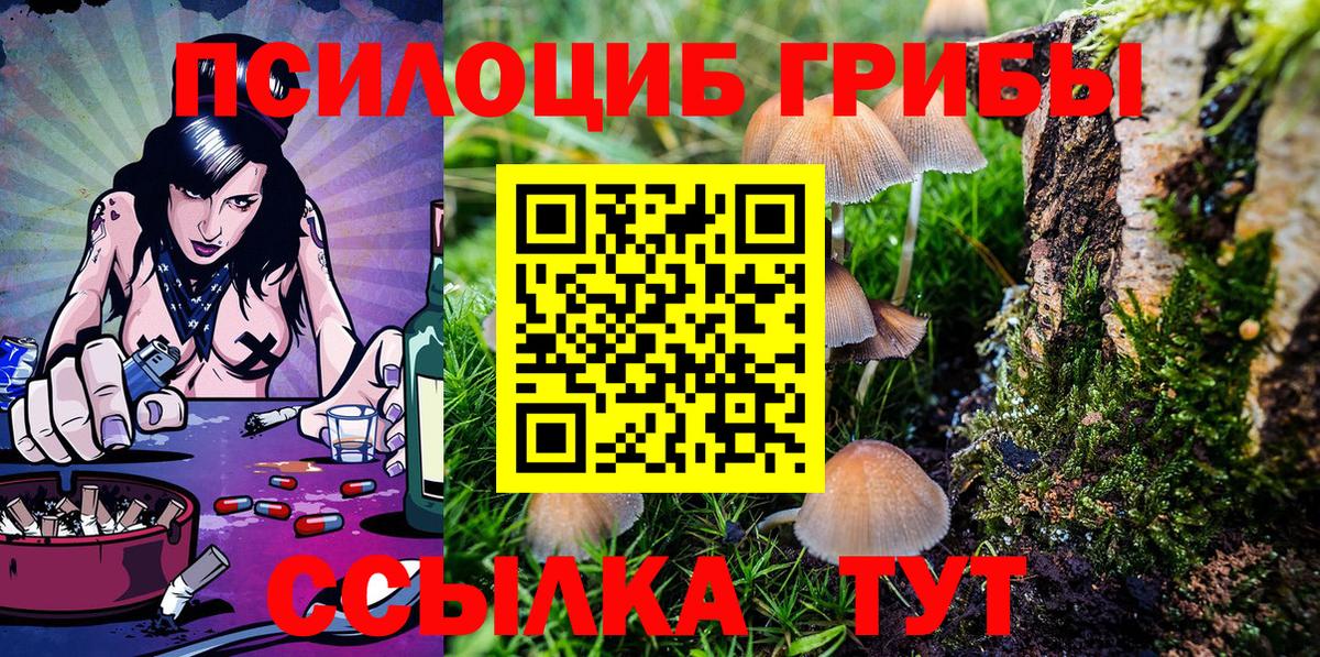 Псилоцибиновые грибы прущие грибы Мценск