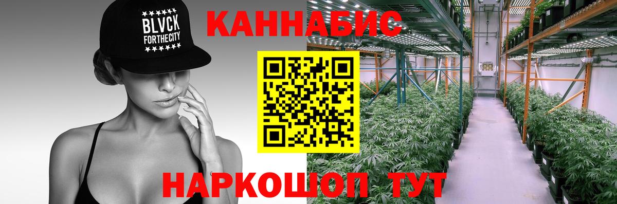 Бошки Шишки сатива Мценск